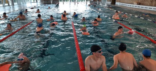 cours de natation college international